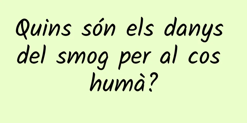 Quins són els danys del smog per al cos humà?
