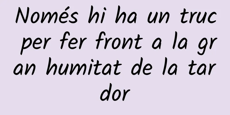 Només hi ha un truc per fer front a la gran humitat de la tardor