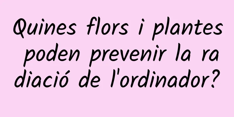 Quines flors i plantes poden prevenir la radiació de l'ordinador?
