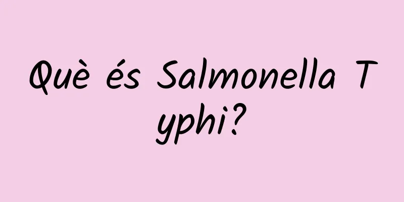 Què és Salmonella Typhi?