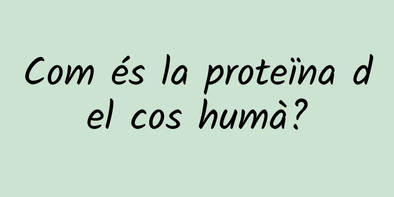 Com és la proteïna del cos humà?