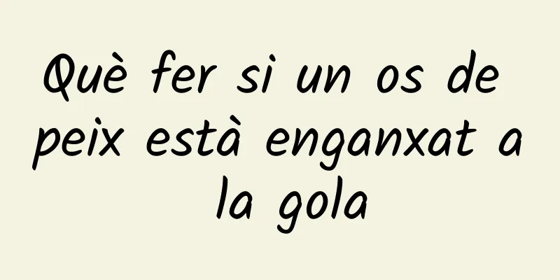 Què fer si un os de peix està enganxat a la gola