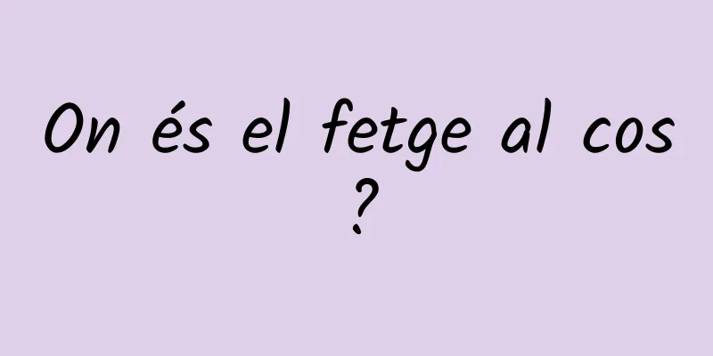 On és el fetge al cos?