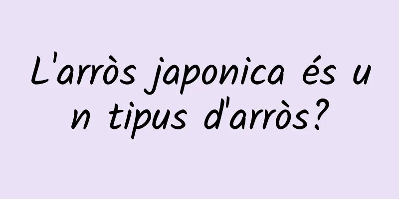 L'arròs japonica és un tipus d'arròs?
