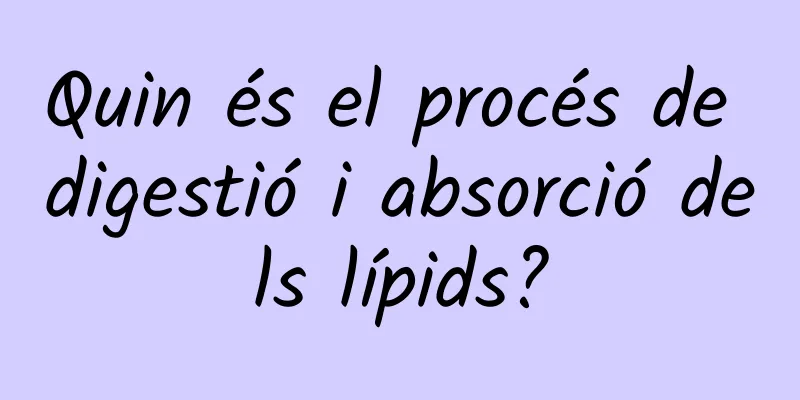 Quin és el procés de digestió i absorció dels lípids?