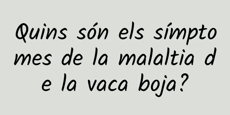 Quins són els símptomes de la malaltia de la vaca boja?