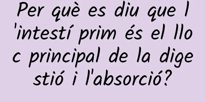 Per què es diu que l'intestí prim és el lloc principal de la digestió i l'absorció?