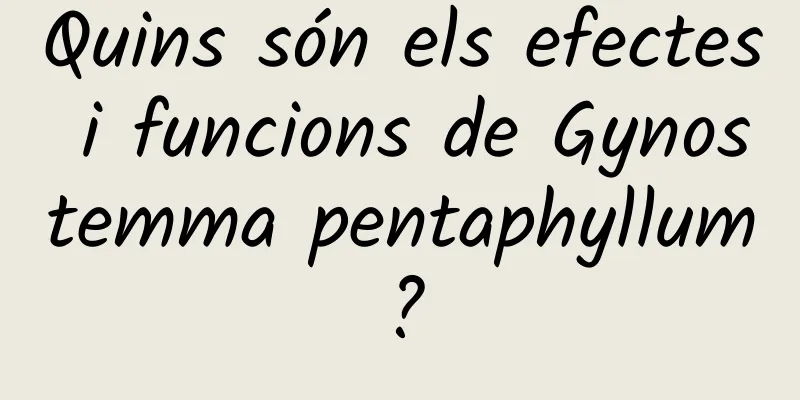Quins són els efectes i funcions de Gynostemma pentaphyllum?