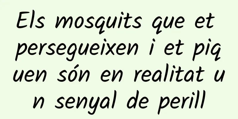 Els mosquits que et persegueixen i et piquen són en realitat un senyal de perill