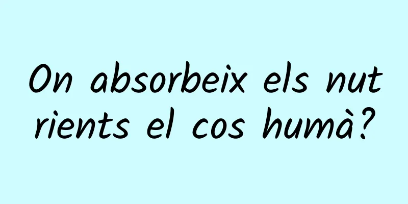 On absorbeix els nutrients el cos humà?