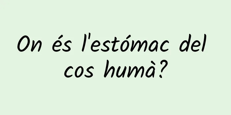 On és l'estómac del cos humà?