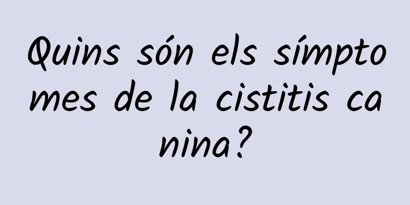 Quins són els símptomes de la cistitis canina?