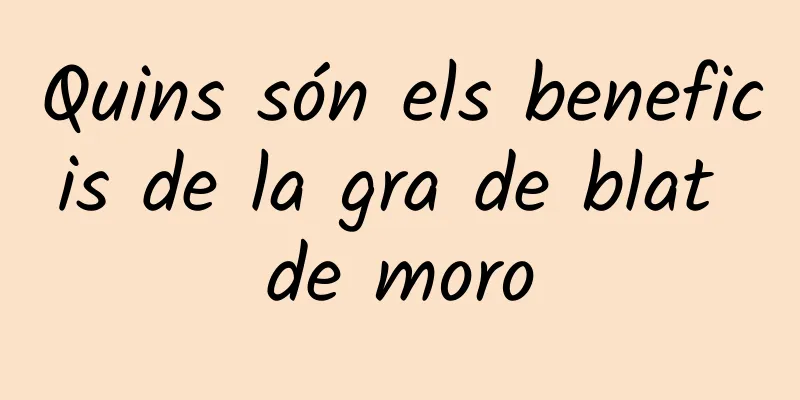 Quins són els beneficis de la gra de blat de moro