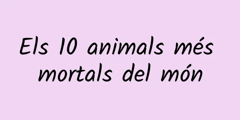 Els 10 animals més mortals del món