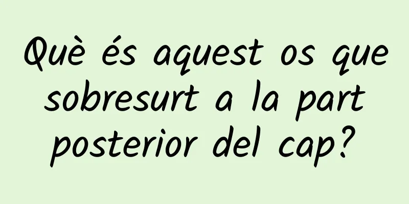 Què és aquest os que sobresurt a la part posterior del cap?