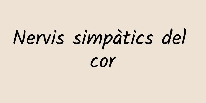 Nervis simpàtics del cor