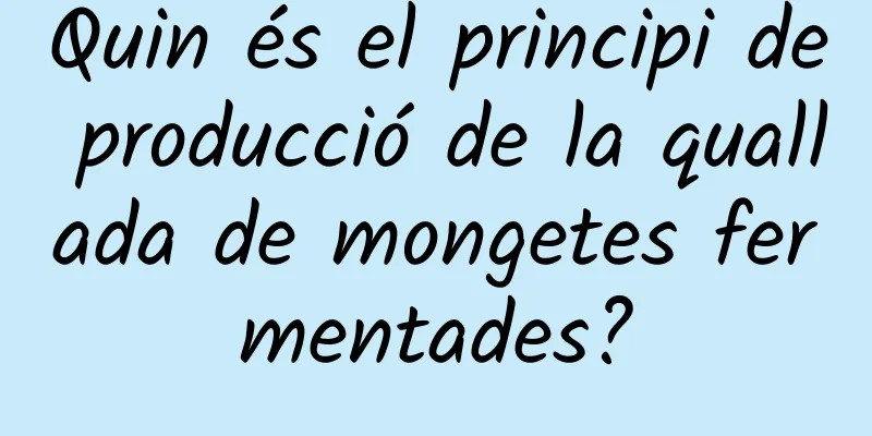 Quin és el principi de producció de la quallada de mongetes fermentades?