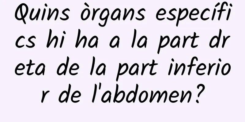 Quins òrgans específics hi ha a la part dreta de la part inferior de l'abdomen?