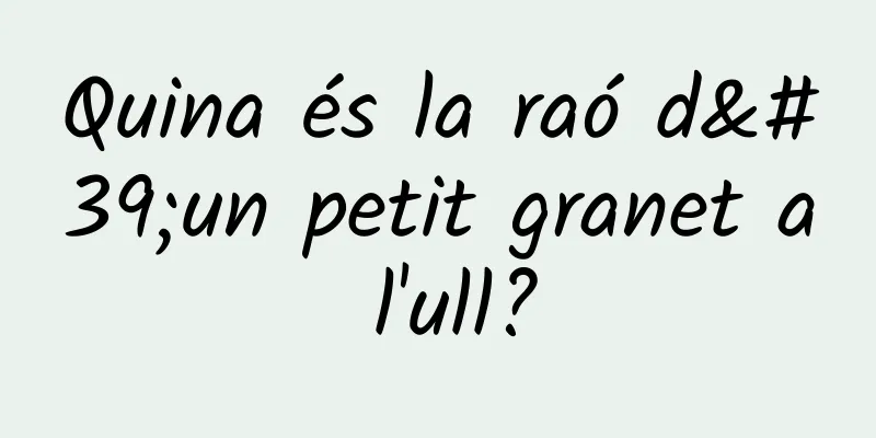 Quina és la raó d'un petit granet a l'ull?