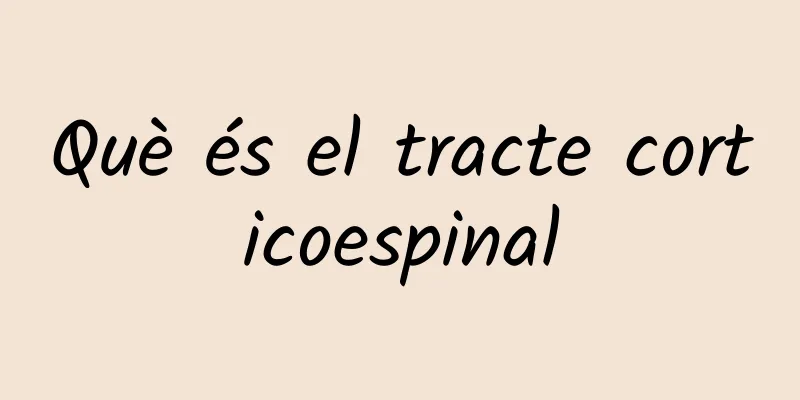 Què és el tracte corticoespinal