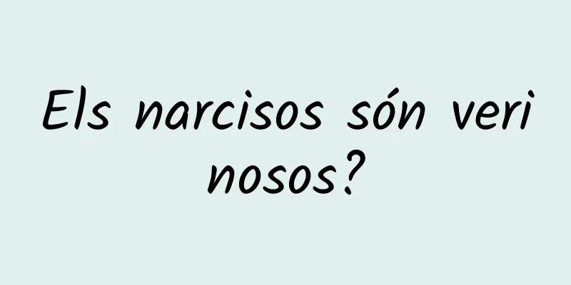 Els narcisos són verinosos?
