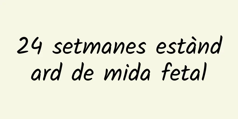 24 setmanes estàndard de mida fetal