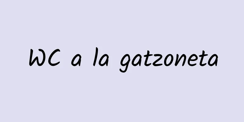 WC a la gatzoneta