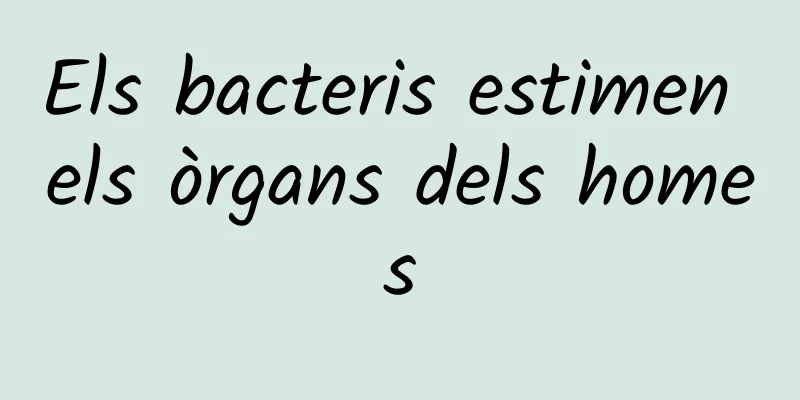 Els bacteris estimen els òrgans dels homes
