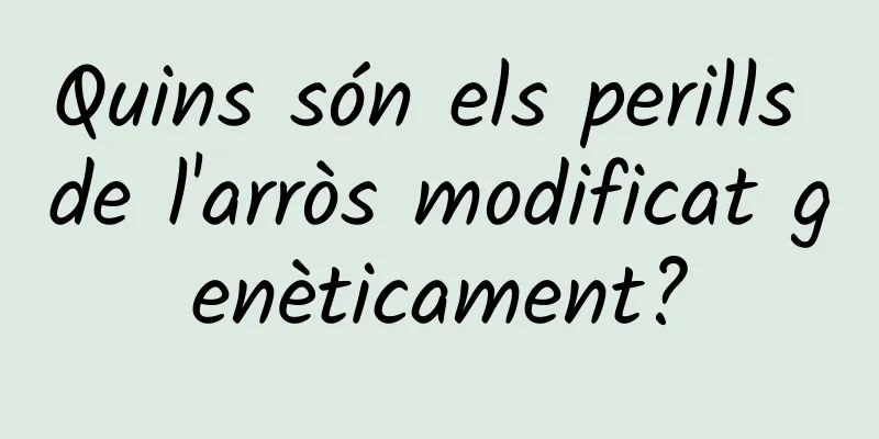 Quins són els perills de l'arròs modificat genèticament?
