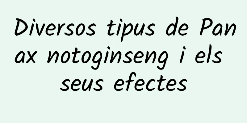 Diversos tipus de Panax notoginseng i els seus efectes