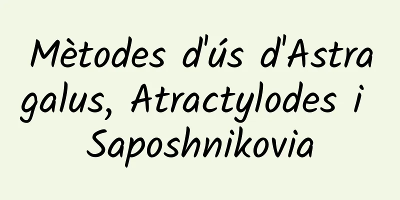 Mètodes d'ús d'Astragalus, Atractylodes i Saposhnikovia