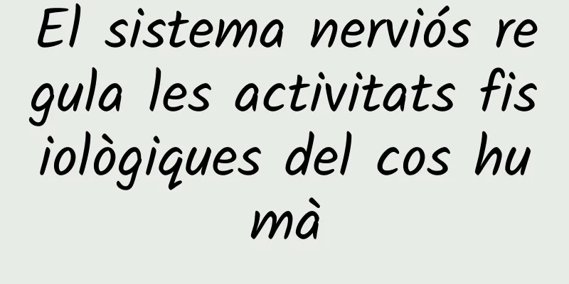 El sistema nerviós regula les activitats fisiològiques del cos humà