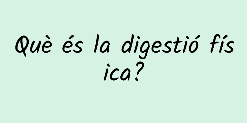 Què és la digestió física?
