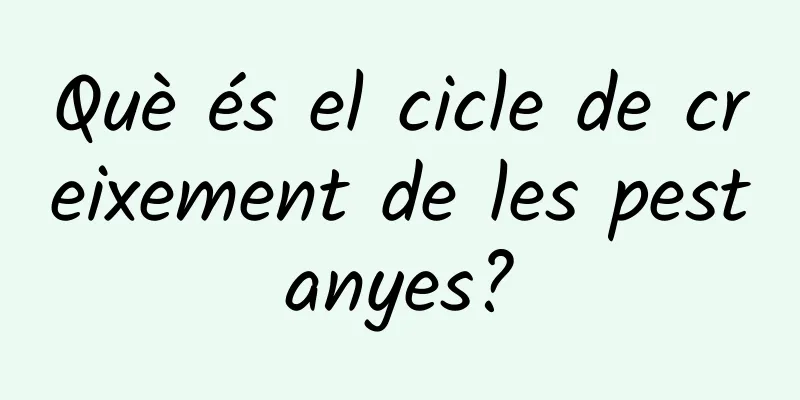 Què és el cicle de creixement de les pestanyes?