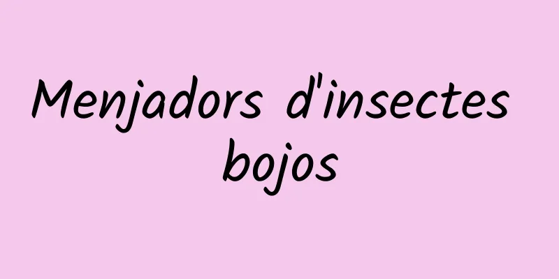 Menjadors d'insectes bojos