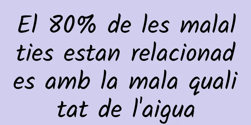 El 80% de les malalties estan relacionades amb la mala qualitat de l'aigua