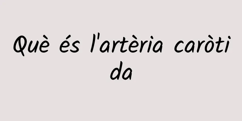 Què és l'artèria caròtida
