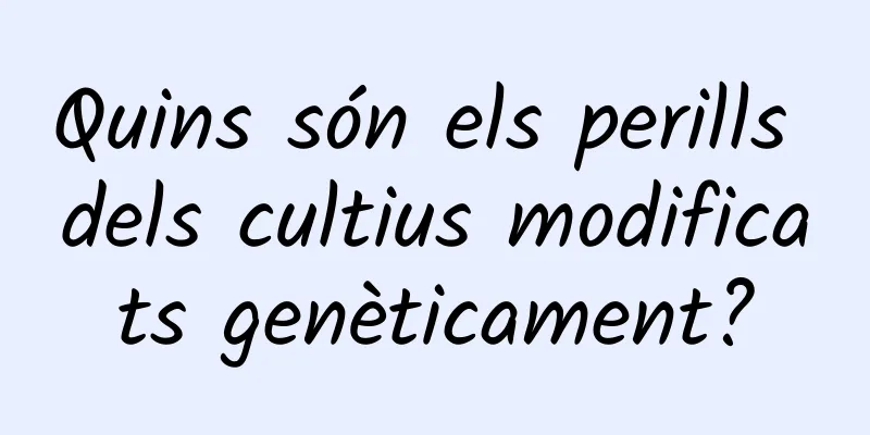 Quins són els perills dels cultius modificats genèticament?