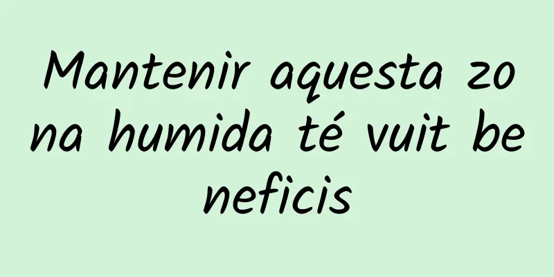 Mantenir aquesta zona humida té vuit beneficis