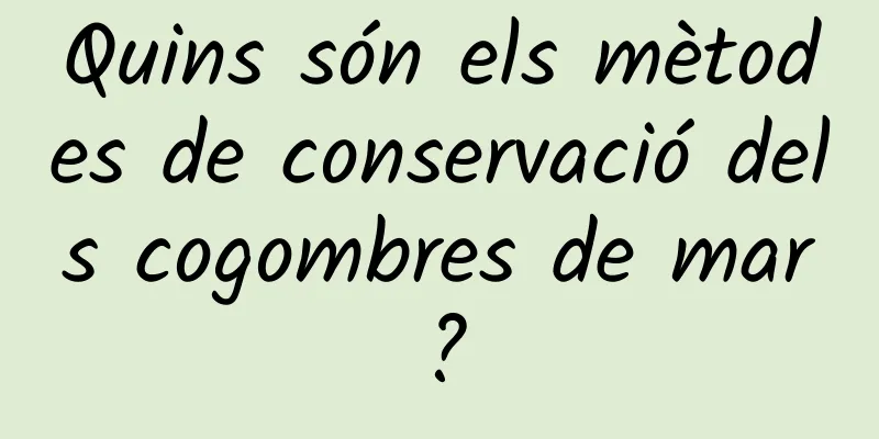 Quins són els mètodes de conservació dels cogombres de mar?