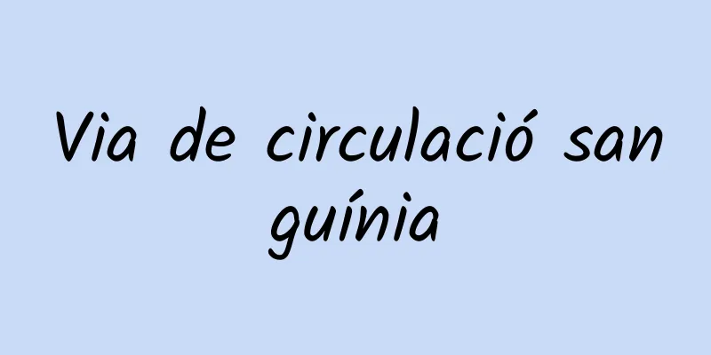 Via de circulació sanguínia