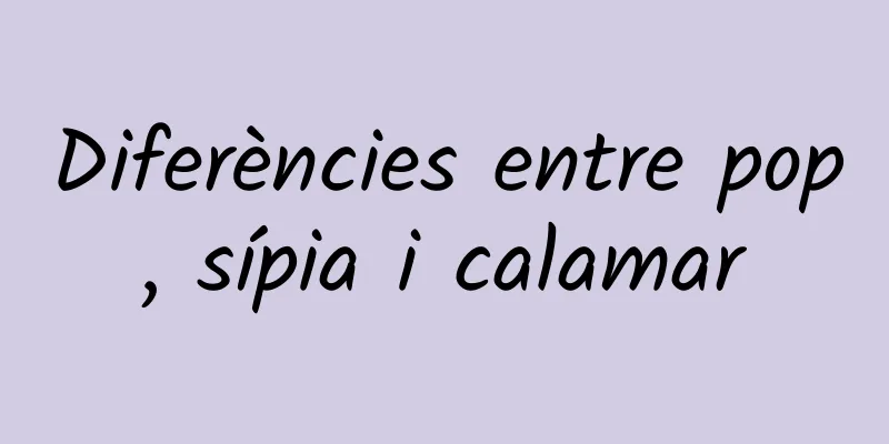 Diferències entre pop, sípia i calamar