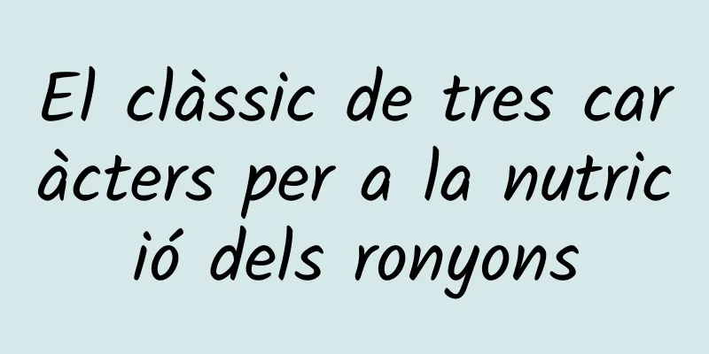 El clàssic de tres caràcters per a la nutrició dels ronyons