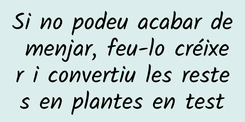 Si no podeu acabar de menjar, feu-lo créixer i convertiu les restes en plantes en test