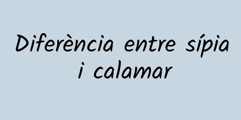 Diferència entre sípia i calamar