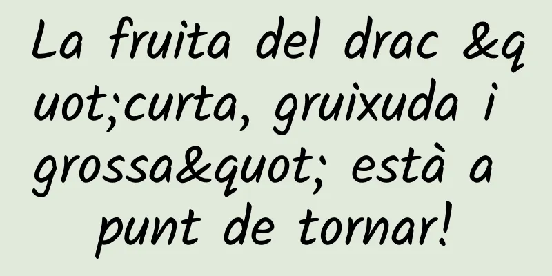 La fruita del drac "curta, gruixuda i grossa" està a punt de tornar!