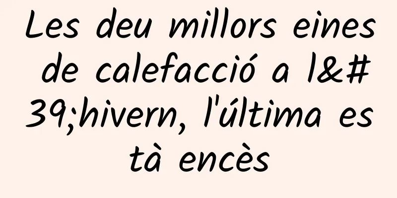 Les deu millors eines de calefacció a l'hivern, l'última està encès