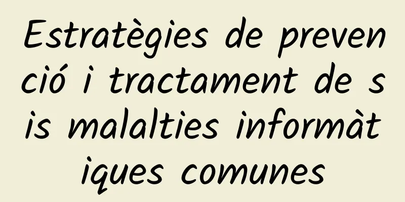 Estratègies de prevenció i tractament de sis malalties informàtiques comunes