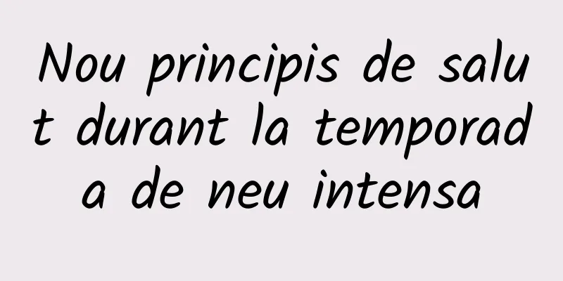 Nou principis de salut durant la temporada de neu intensa