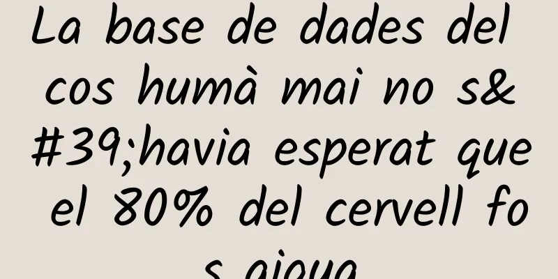 La base de dades del cos humà mai no s'havia esperat que el 80% del cervell fos aigua